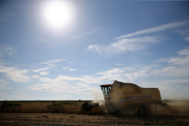 Soya verimi ve fiyatıyla çiftçiyi sevindirdi